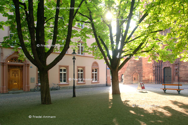 BASEL – Impressionen 1 – Pfalz, Münsterplatz
