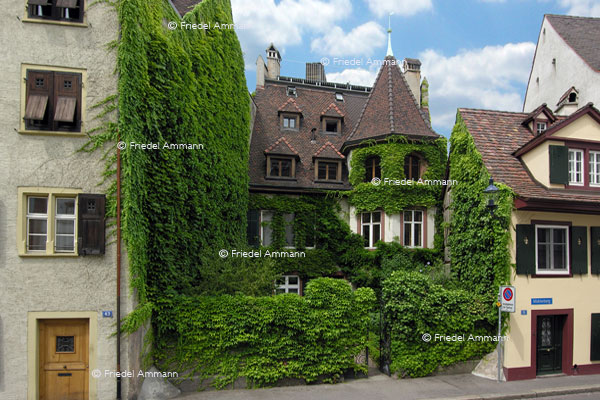 BASEL - Historische Gebäude – Efeuhaus, St Alban Vorstadt
