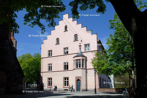 BASEL - Lesegesellschaft - Pfalz
