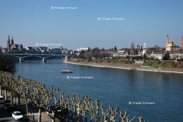 BASEL - Rheinschiffahrt - St. Alban-Fähre «Wild Maa»
