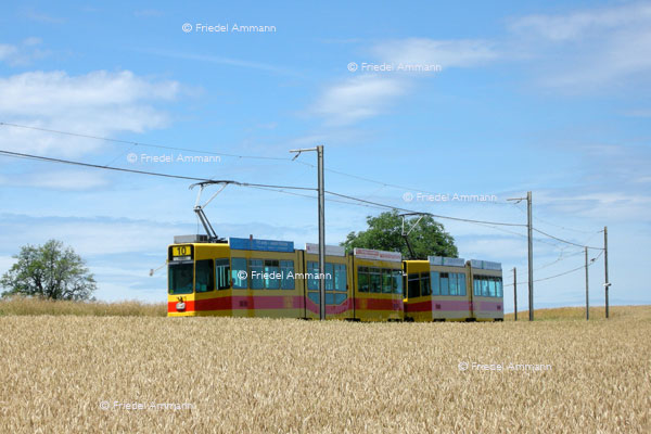 BASEL – Öffentlicher Verkehr – BLT, Leimental (F)