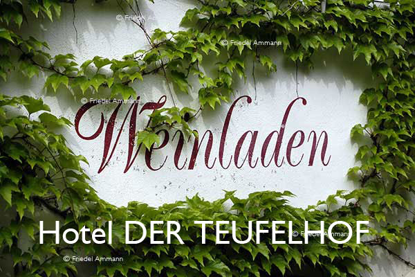 BASEL- Hotels - DER TEUFELHOF 