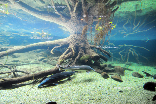 BASEL - Zoologischer Garten, Zolli - Vivarium