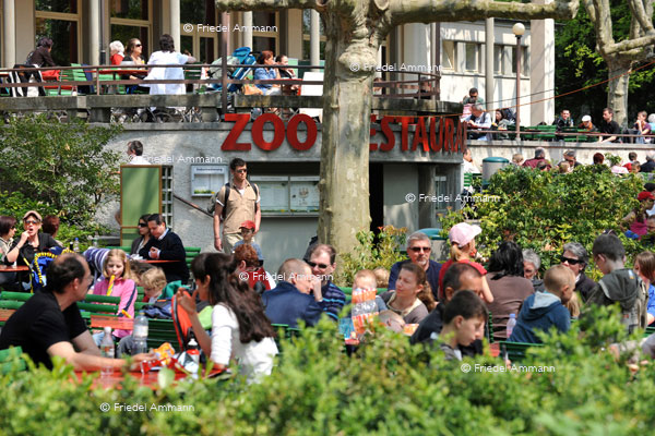 BASEL - Zoologischer Garten, Zolli - Restaurant