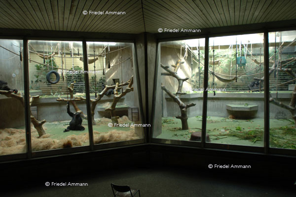 BASEL - Zoologischer Garten, Zolli