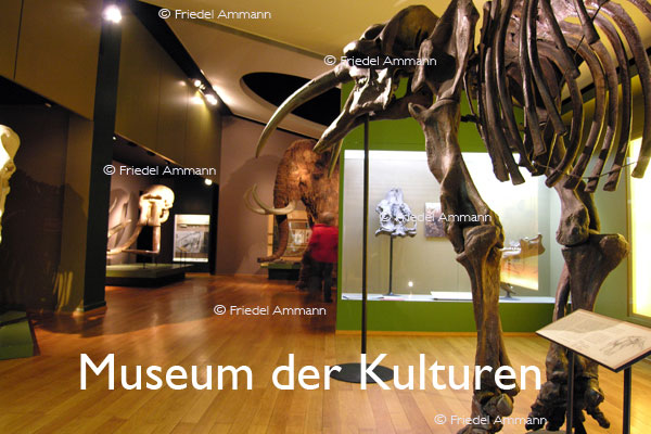 BASEL - Museen – Museum der Kulturen