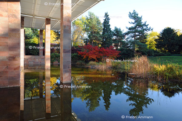 BASEL - Fondation Beyeler, Riehen