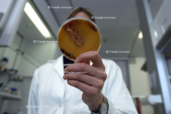 BASILEA Pharmaceutica