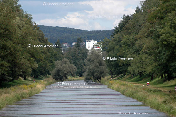 BASEL - Regio - Fluss Wiese, Lange Erlen, Lörrach (D)