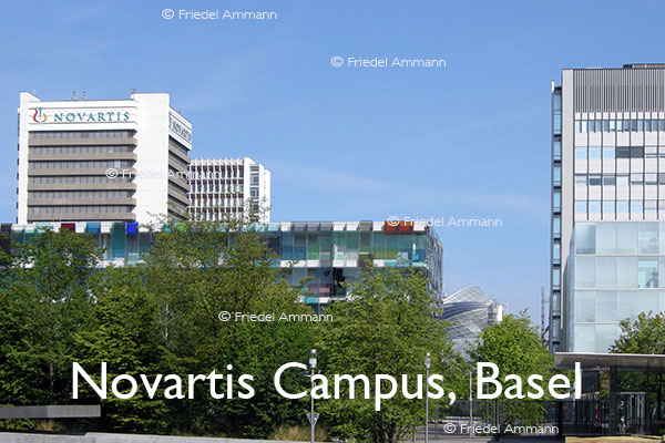 BAUTEN - Architektur 20. Jahrhundert - Novartis Campus, Basel