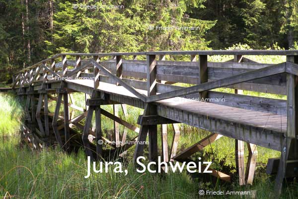 BAUTEN – Brücken / Bridges – Holzbrücke