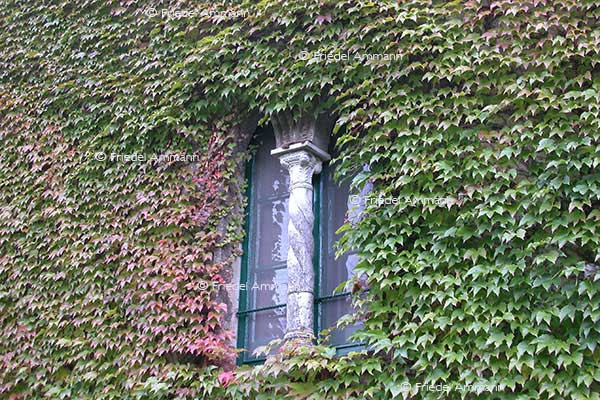BAUTEN - Gebäudeansichten / Building opinions - Villa Cimbrone - Ravello, Italia