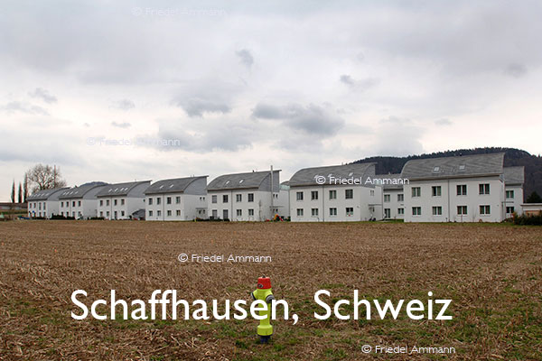 BAUTEN - Immobilien - Schaffhausen, Schweiz