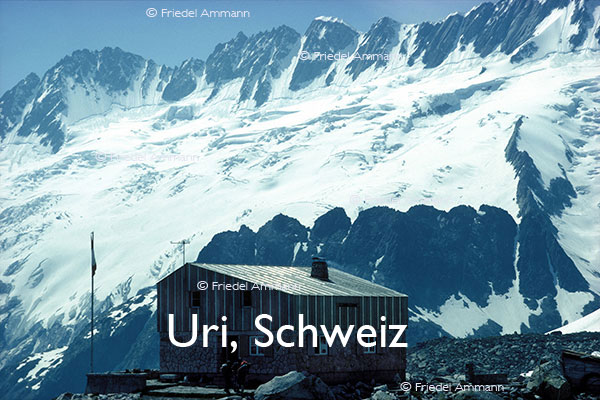 BAUTEN - Immobilien - Bergseeschjien SAC-Hütte - Uri, Schweiz