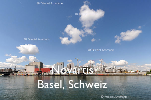 BAUTEN - Industriegebäude - Novartis - Basel, Schweiz