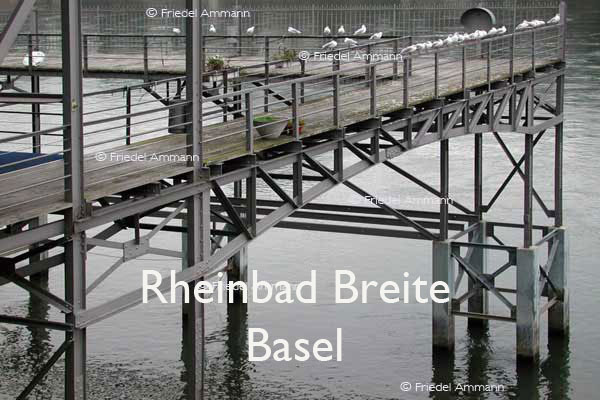 BAUTEN / MOBILITÄT – BUILDINGS - Konstruktionen / Constructions – Stahlgerüstkonstruktion, Rheinbad Breite,