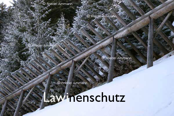 BAUTEN / MOBILITÄT – BUILDINGS / MOBILITY - Konstruktionen / Constructions – Lawinenschutz