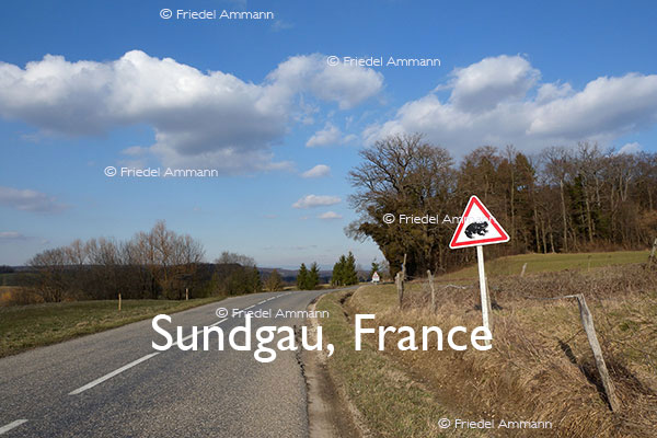 BAUTEN / MOBILITÄT – BUILDINGS / MOBILITY - Strassen, Tunnels - Roads, Tunnel – Sundgau, France