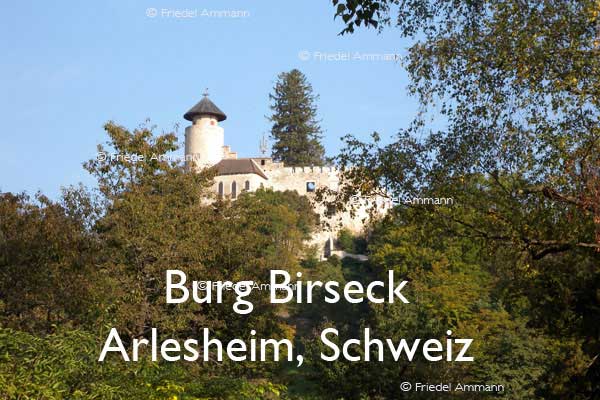 BAUTEN / BUILDINGS - Burgen / Castles – Burg Birseck - Arlesheim, Schweiz