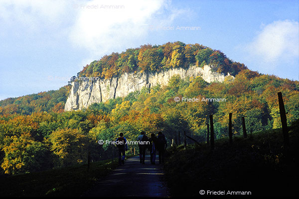 IMPRESSIONEN - Herbst / Autumn