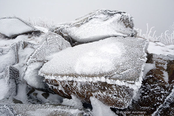 IMPRESSIONEN - Winter
