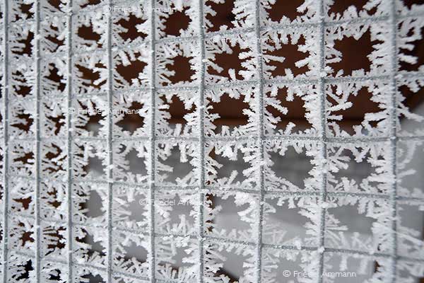IMPRESSIONEN - Winter