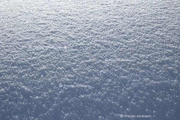 IMPRESSIONEN - Winter