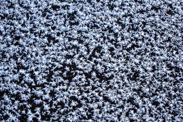 IMPRESSIONEN - Winter