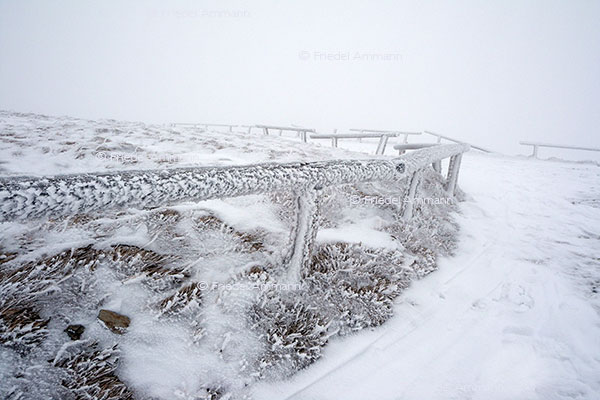 IMPRESSIONEN - Winter