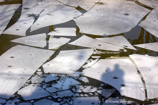 IMPRESSIONEN - Winter