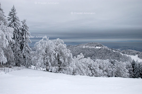 IMPRESSIONEN - Winter