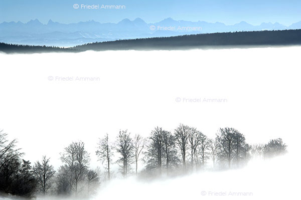 IMPRESSIONEN - Winter