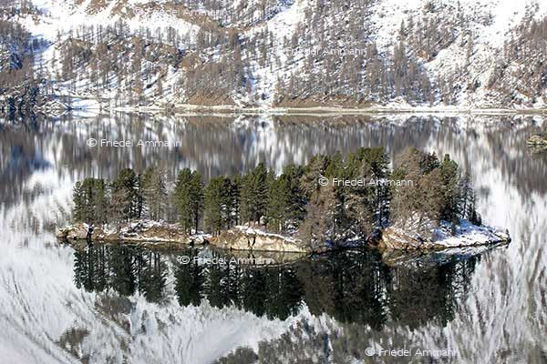 IMPRESSIONEN - Winter