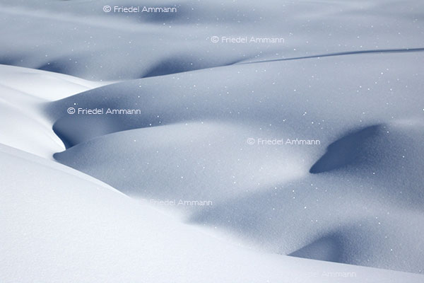 IMPRESSIONEN - Winter