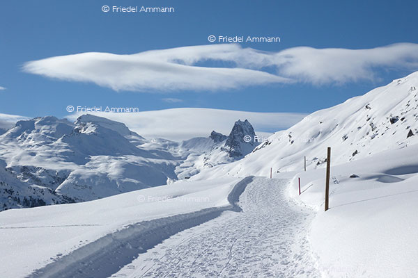 IMPRESSIONEN - Winter