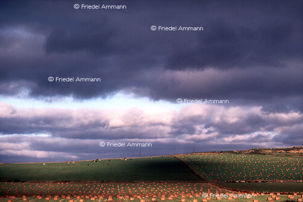 IMPRESSIONEN - Landschaften / Landscapes - England