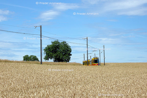 IMPRESSIONEN - Landschaften / Landscapes – Leimental, Schweiz