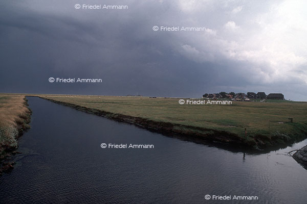IMPRESSIONEN - Landschaften / Landscapes – Hallig, Deutschland 