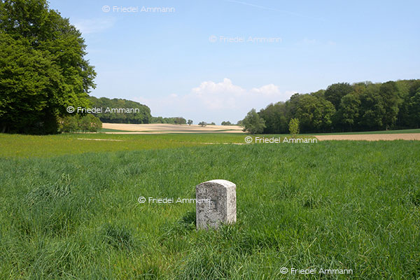 IMPRESSIONEN - Landschaften / Landscapes – Neuwiler, Sundgau, France