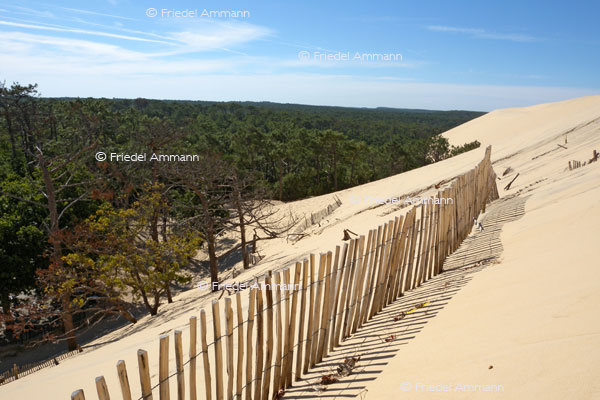 IMPRESSIONEN - Landschaften / Landscapes – Dune du Pyla, Arcachon, France