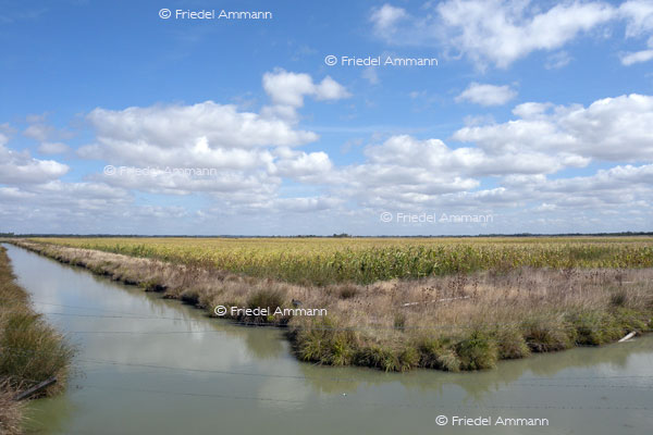  IMPRESSIONEN - Landschaften / Landscapes – Atlantik, France 