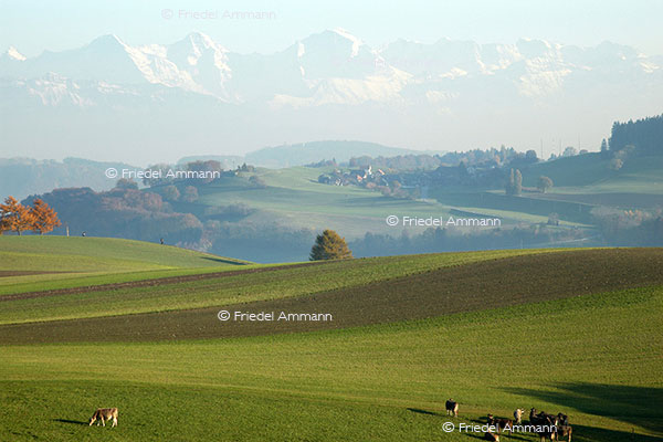 IMPRESSIONEN - Landschaften / Landscapes 2 – Napf, Schweiz