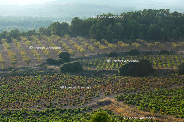 IMPRESSIONEN - Landschaften / Landscapes 2 - Spanien