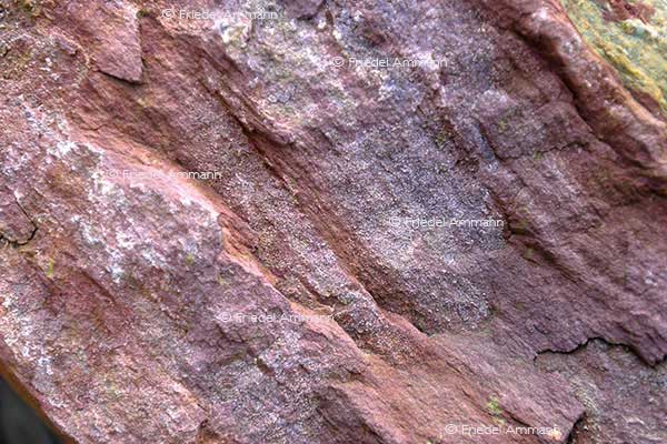 IMPRESSIONEN – Natur 1 - Sandstein