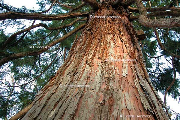 IMPRESSIONEN – Natur 1
