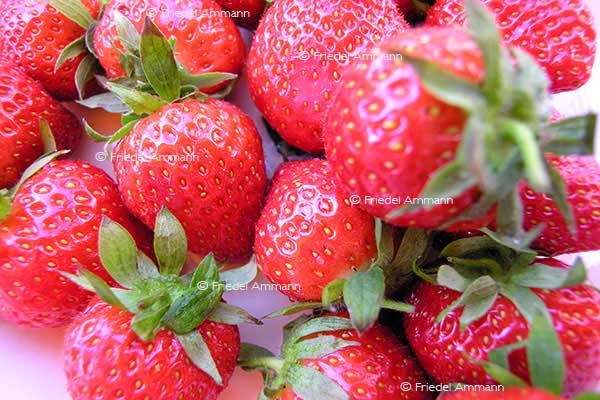 IMPRESSIONEN - Natur 2 - Erdbeeren