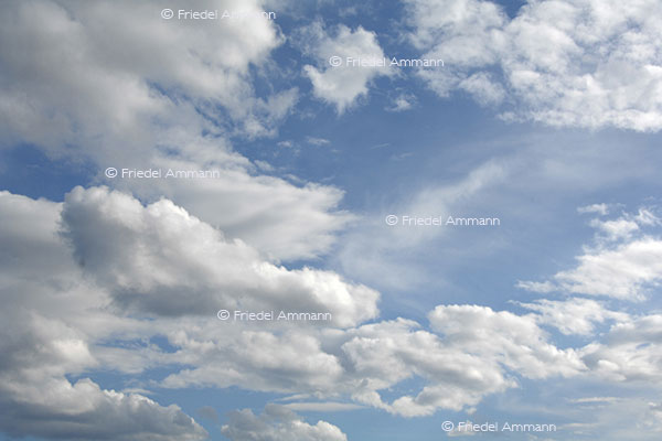Wetter