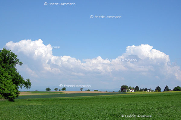 Wetter