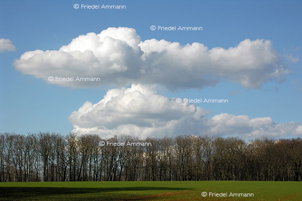 Wetter