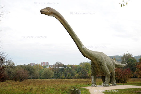 IMPRESSIONEN - Tiere - Dinosaurier
